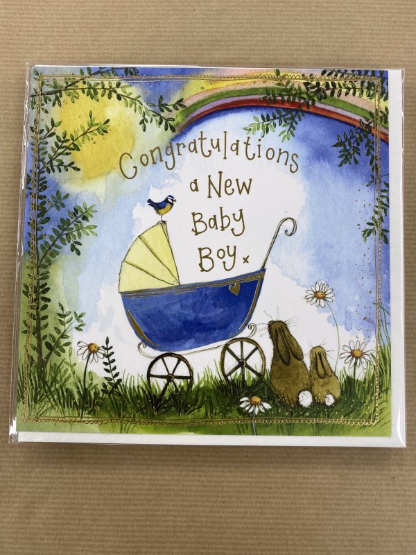 Baby Boy Gift Card