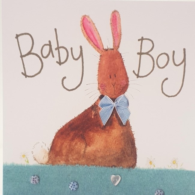 BABY BOY-rabbit